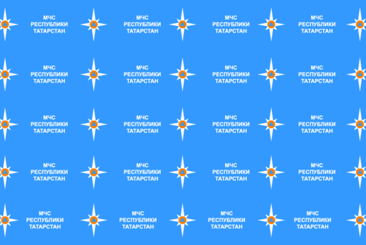 Стратегическая сессия-Цифровая трансформация МЧС