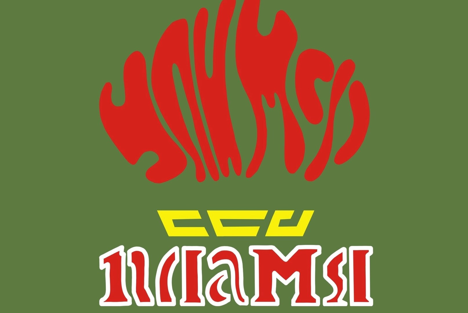 Собрание ССО "Пламя"