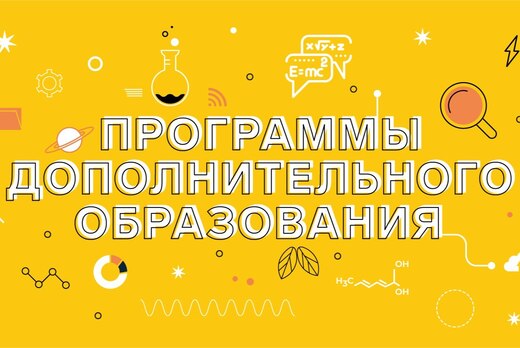 Разработка и реализация конкурентоспособных программ допо...