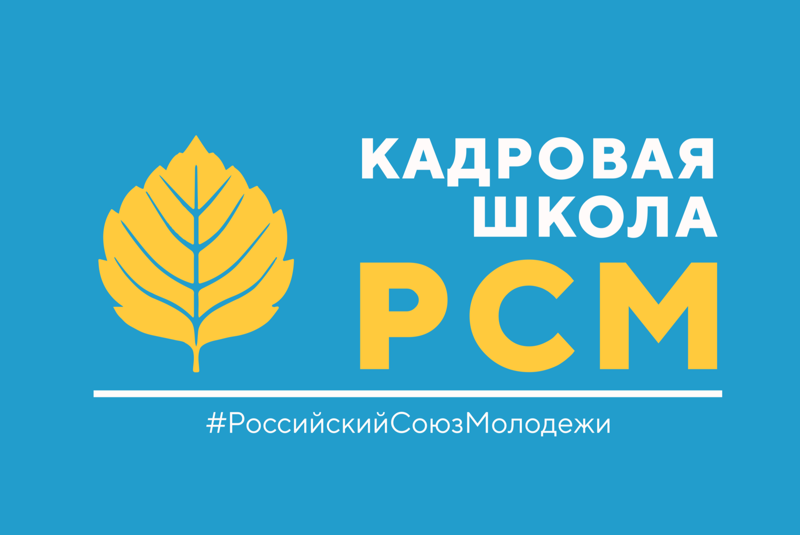 Региональная кадровая Школа ЧРО РСМ