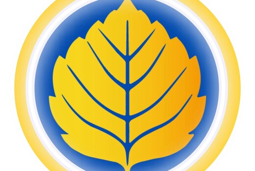 Торжественное мероприятие «День рождения РСМ»