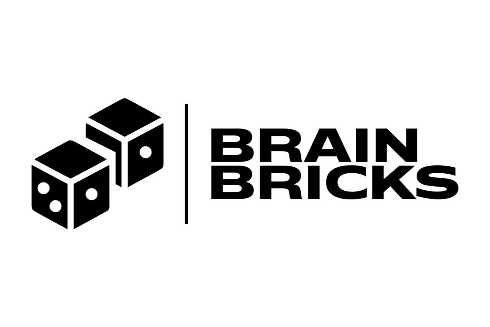 Игротека "Brain Bricks"