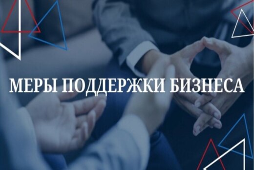 Практико-ориентированная конференция «Новые меры поддержк...