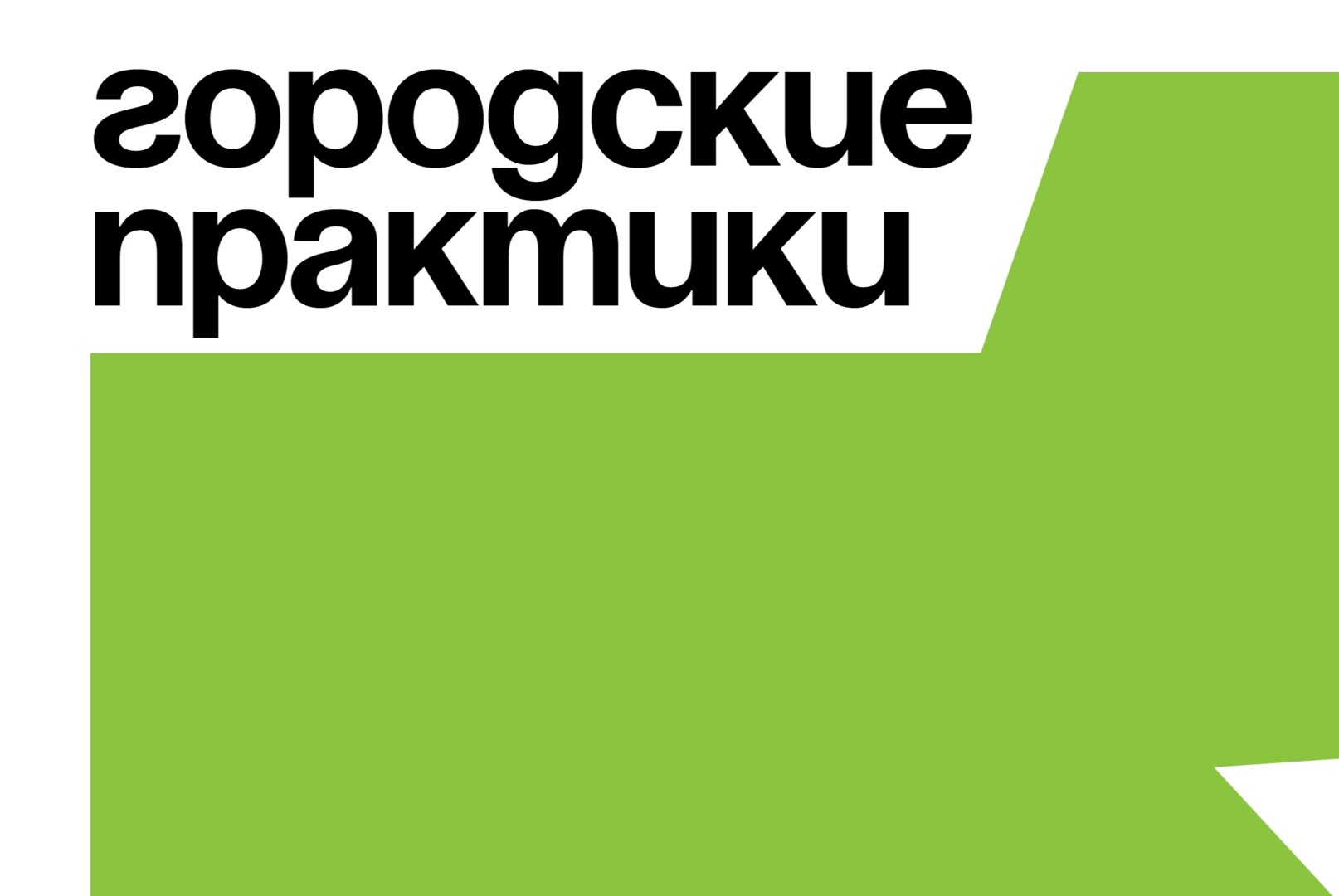«Городские практики» в Благовещенске