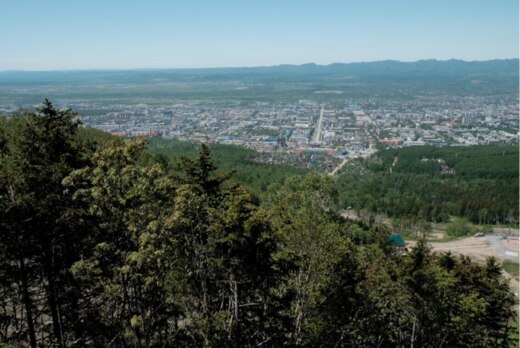 "Город: в поисках идеи и формы"