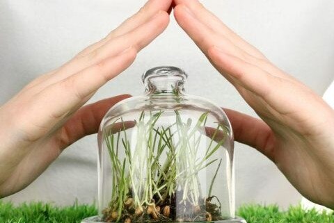 Семинар на тему «Использование современных агробиотехнологий для защиты растений»