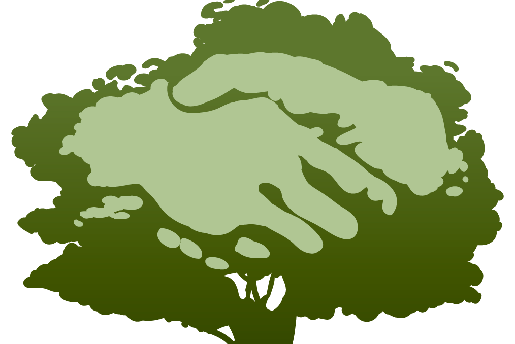 Инновации и технологии в лесном комплексе: перспективы внедрения.