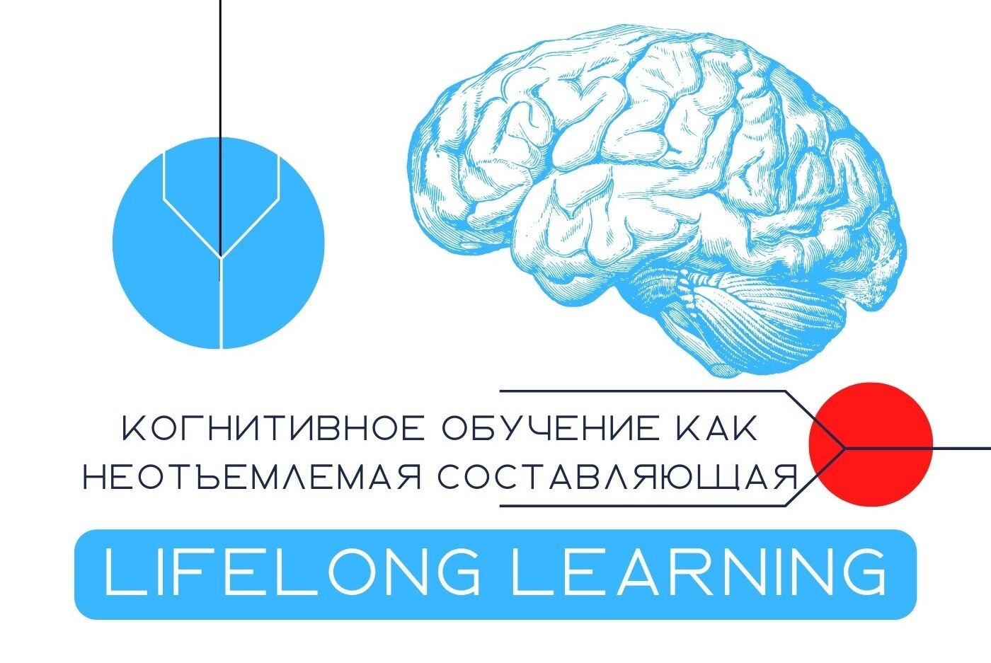 Когнитивное обучение как неотъемлемая составляющая Lifelong Learning