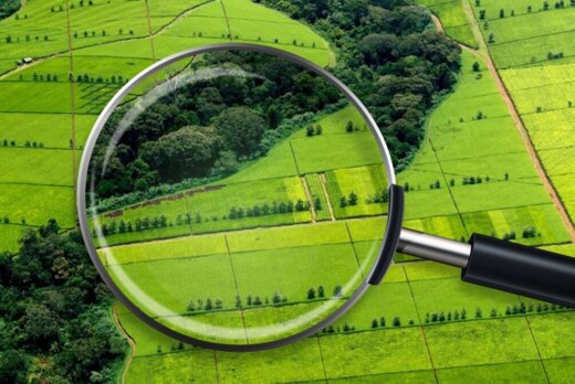 Новая кадастровая оценка земельных участков: процедура и...