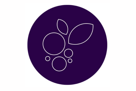 Бизнес-интенсив "Соблазни меня на бренд....."