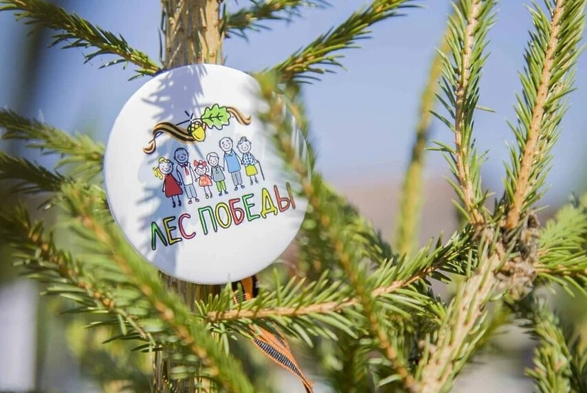 Эколого-патриотическая акция "Лес Победы"