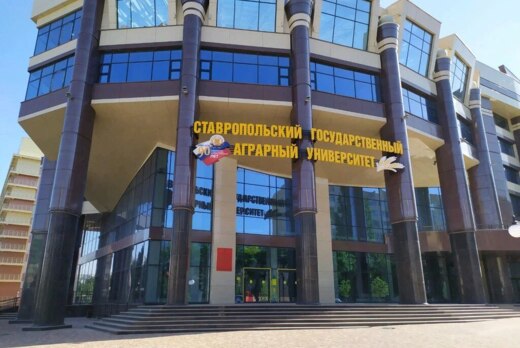 Мастер-класс «Исследование в стартап-проекте:   проблема,...