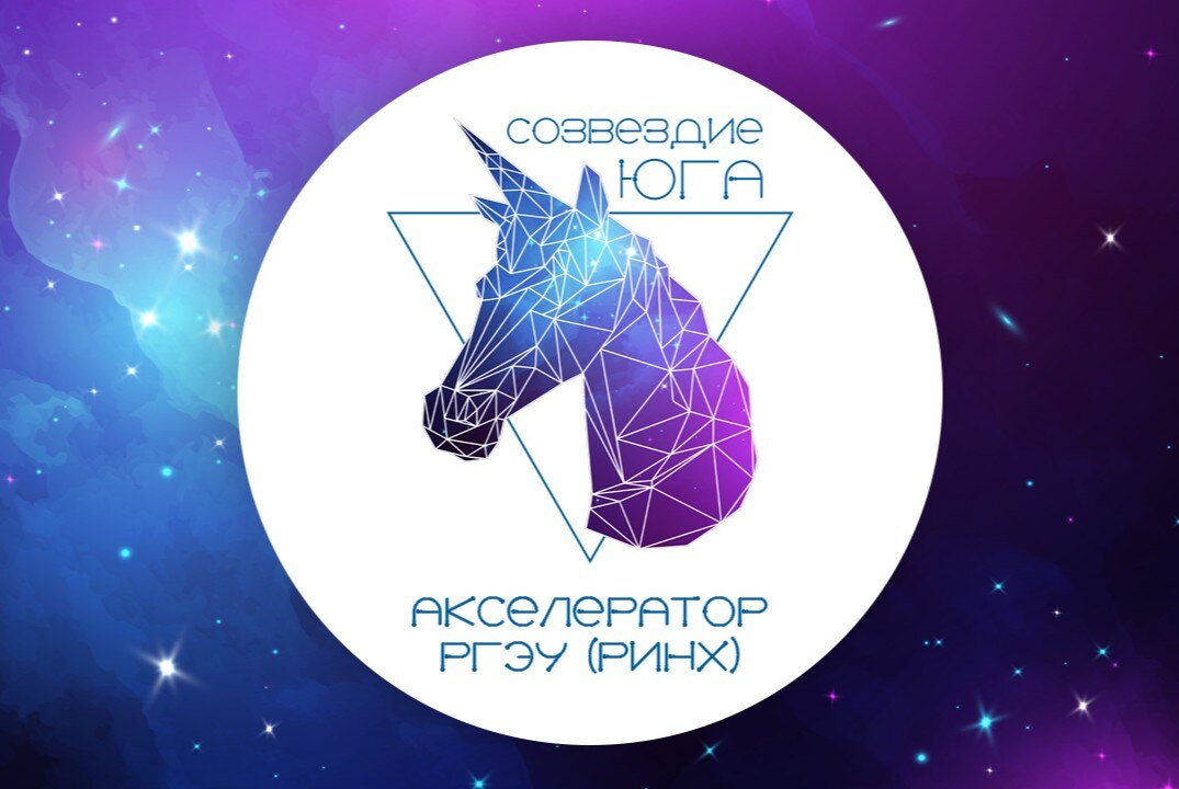 Открытие Акселератора РГЭУ (РИНХ) "Созвездие Юга"