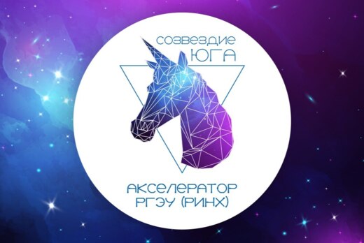 Открытие Акселератора РГЭУ (РИНХ) "Созвездие Юга"