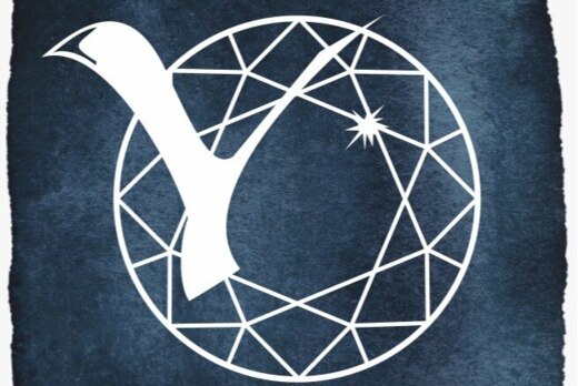 ЦУР — Центр управления регионом: "Специфика работы в соцс...