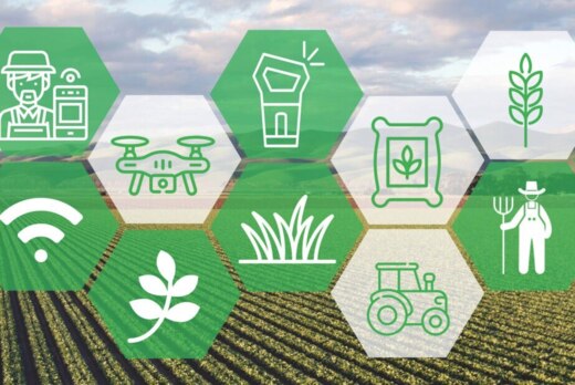 Фермерские рынки - эффективный инструмент продвижения фер...