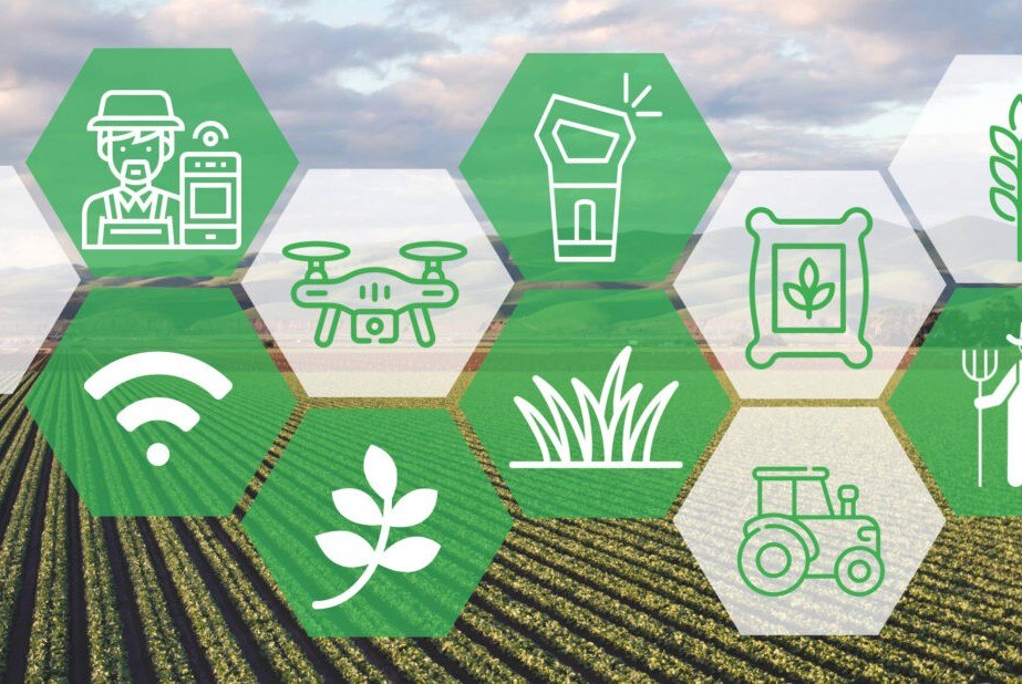Хелснет. Создание региональной инфраструктуры для продвижения фермерской продукции