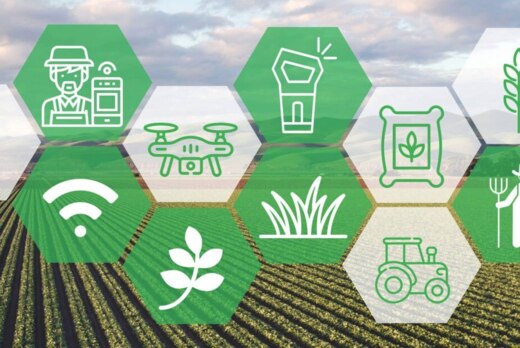 Хелснет. Создание региональной инфраструктуры для продвиж...