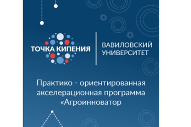 Итоговая питч- сессия (Демо-день акселератора «Агроинноватор»)