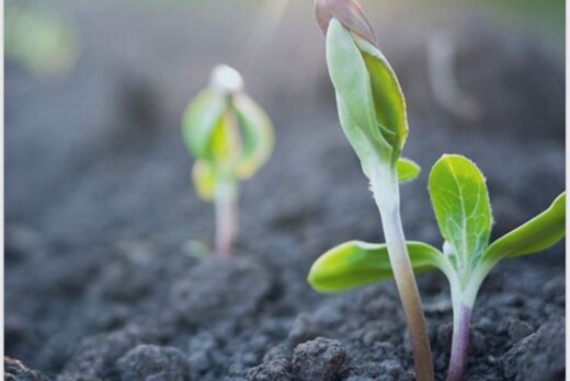 Международный саммит "Агрифуд Россия"