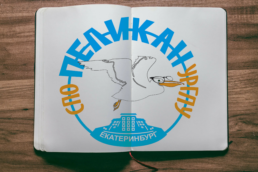 Практическая методическая учеба для кандидатов СПО "Пеликан"