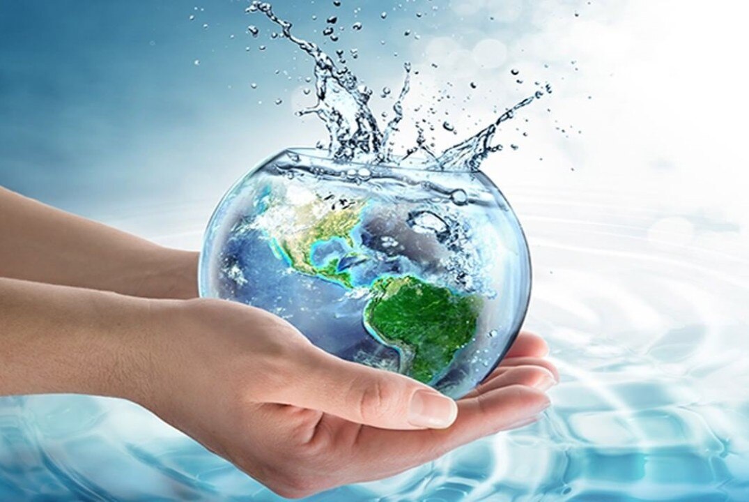 Мониторинг экосистем vs математическое моделирование. Конвергенция "