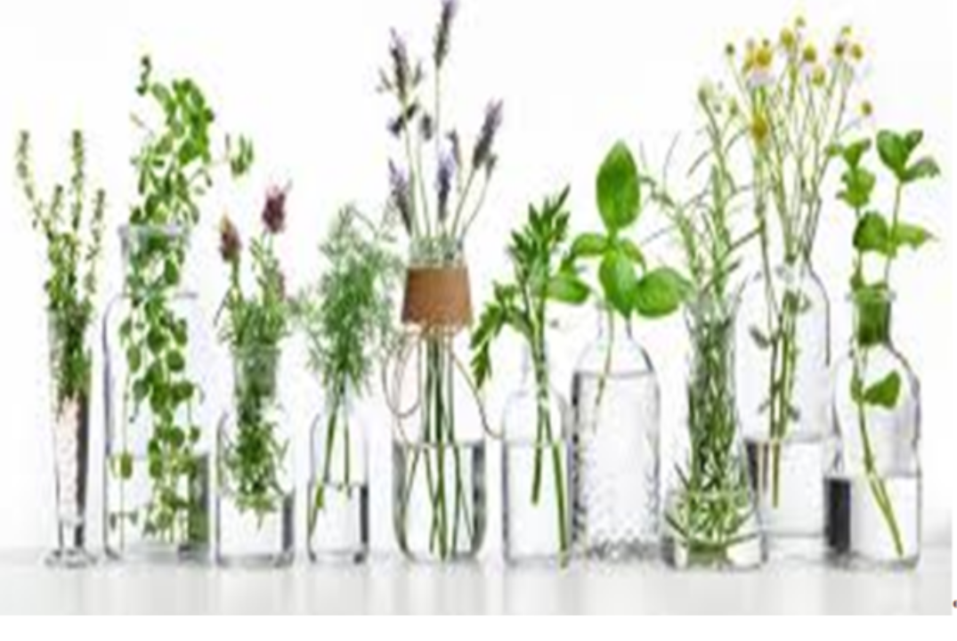 Ароматерапия: влияние на организам, методы применения.