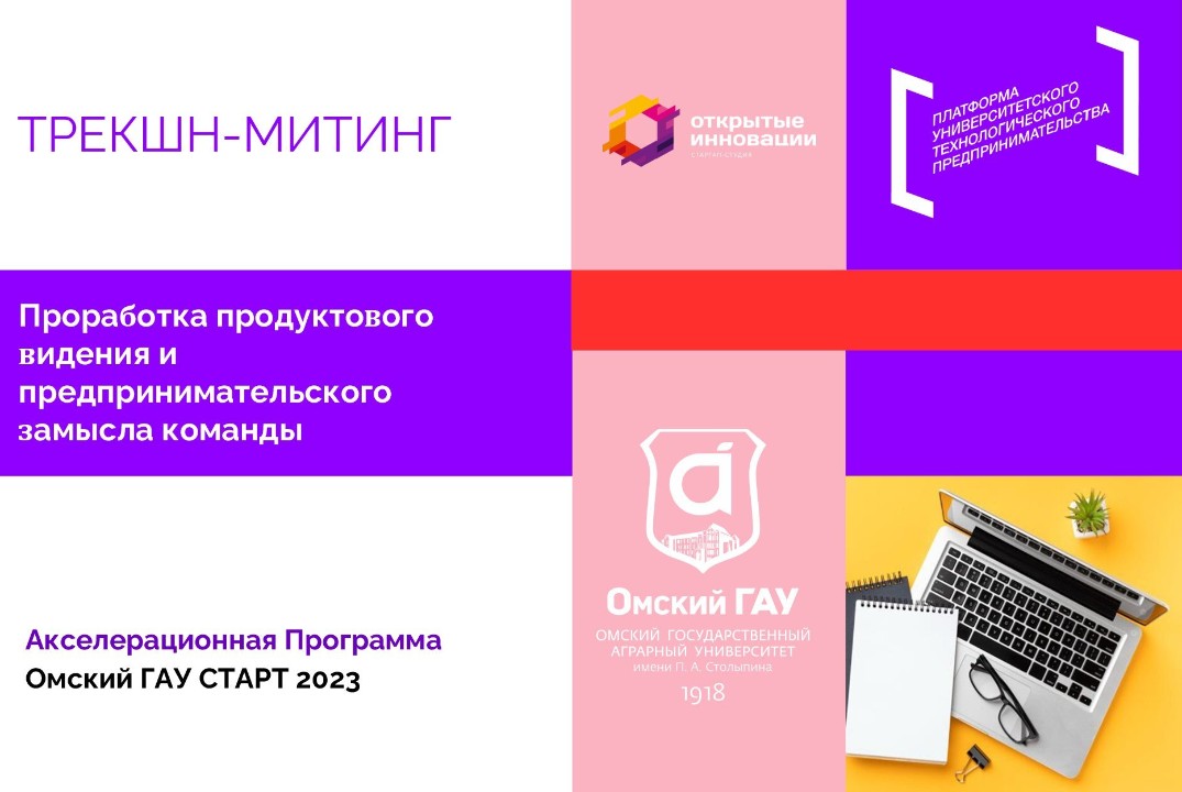 Трекшен-митинг на тему «Проработка продуктового видения и предпринимательского замысла команды» #АП