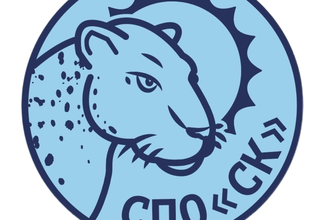 Собеседование СПО "Снежный Кот" 2 день