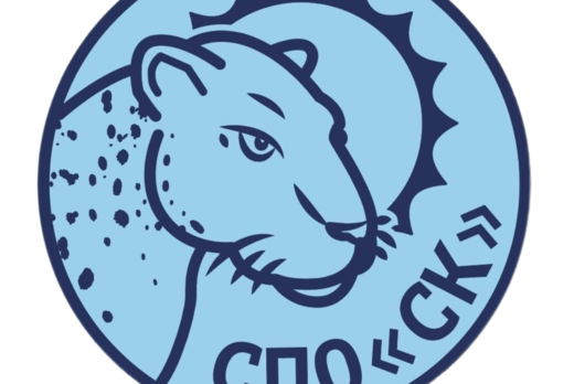 Собеседование СПО "Снежный Кот" 2 день