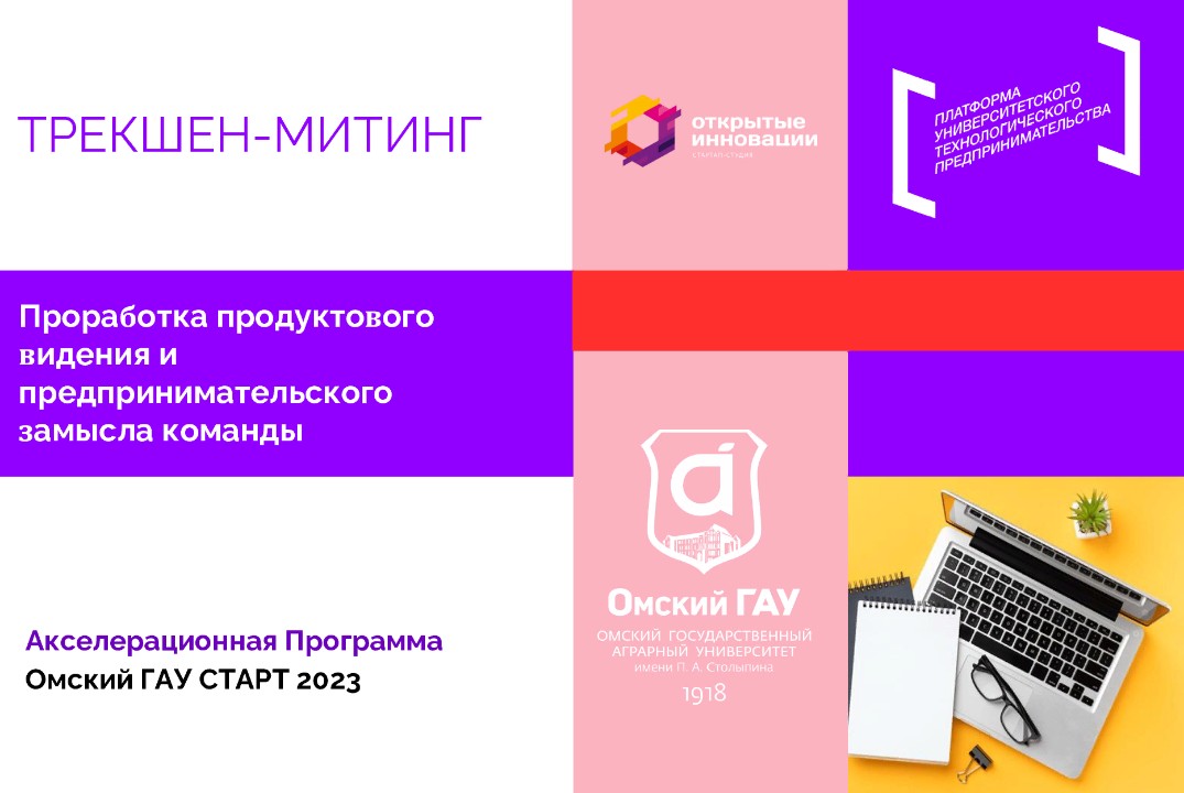 Трекшен-митинг на тему «Проработка продуктового видения и предпринимательского замысла команды» #АП