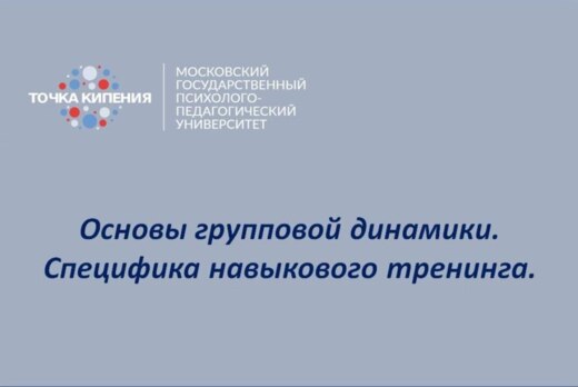 Основы групповой динамики. Специфика навыкового тренинга.