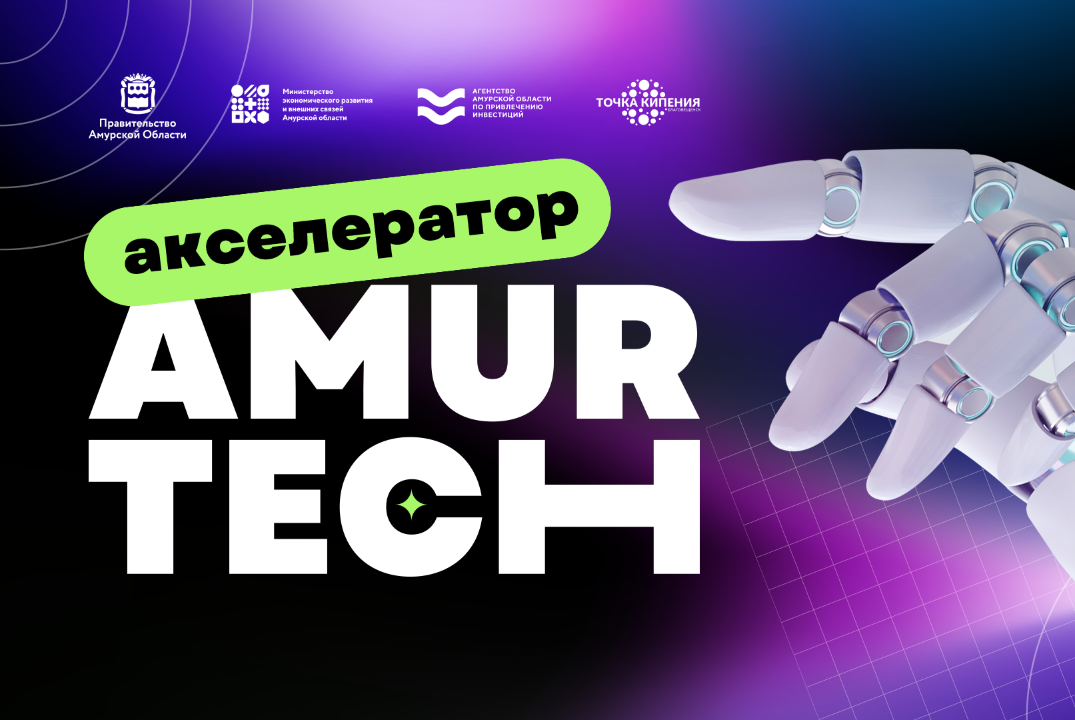Государственная поддержка и услуги центра Мой бизнес. Акселератор AmurTech