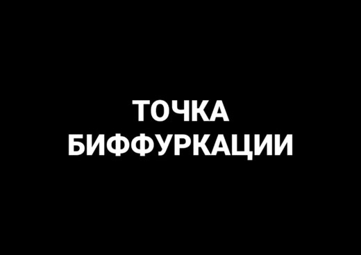Точка биффуркации