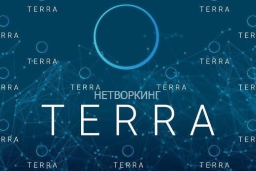 Нетворкинг Терра: новые возможности