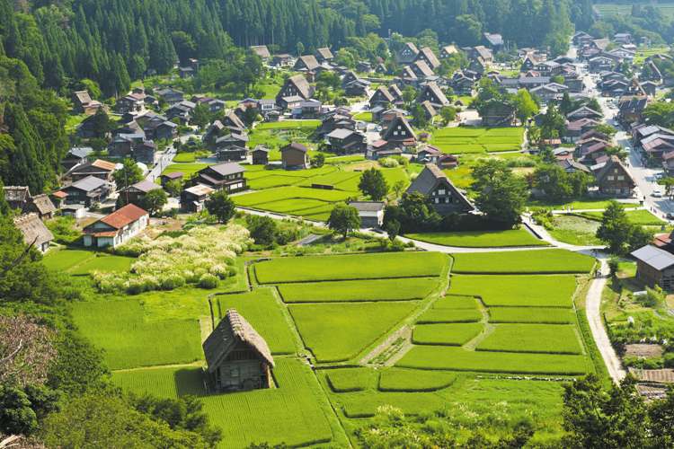 Перспективы развития сельских территорий