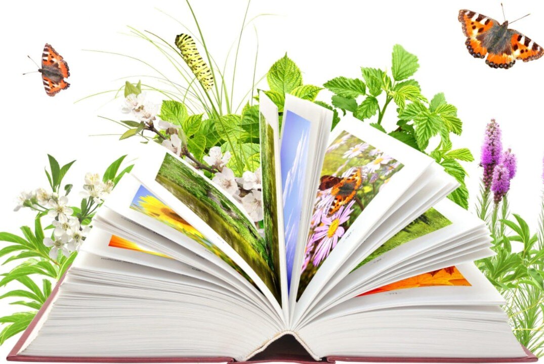 Педагогическое мастерство как форма повышения качества образовательной деятельности по формирования экологической культуры молодежи