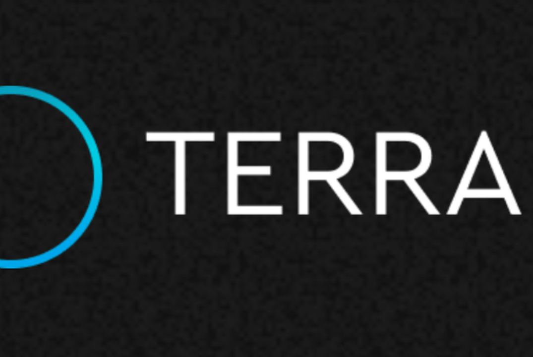 6-е оффлайн занятие для предпринимателей благотворительного проекта "Терра 4" (1 группа)