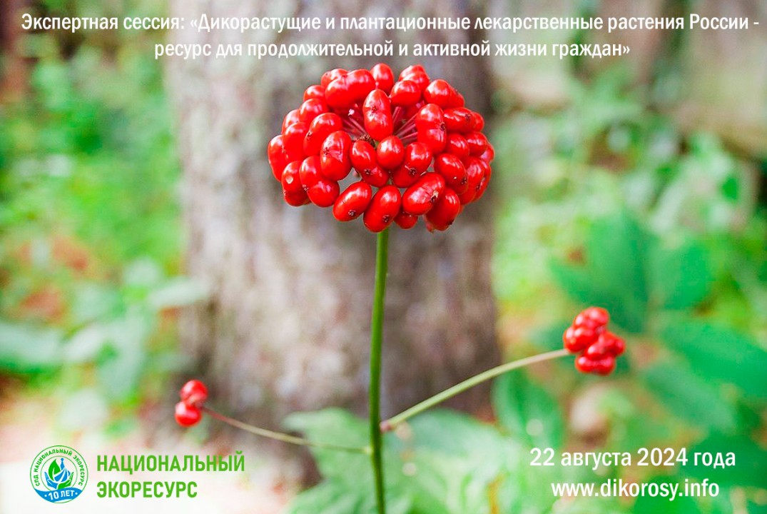 Экспертная сессия Дикорастущие и плантационные лекарственные растения России-ресурс для продолжительной и активной жизни