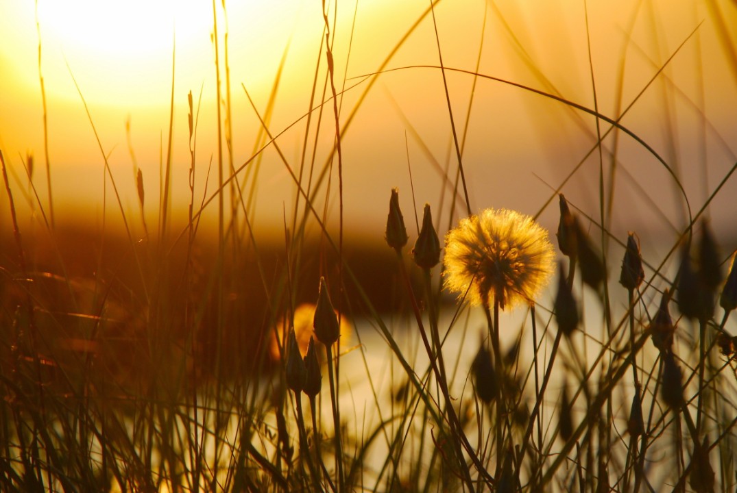 Интеграция культурного кода. Практическое занятие #91 (08.10.24)