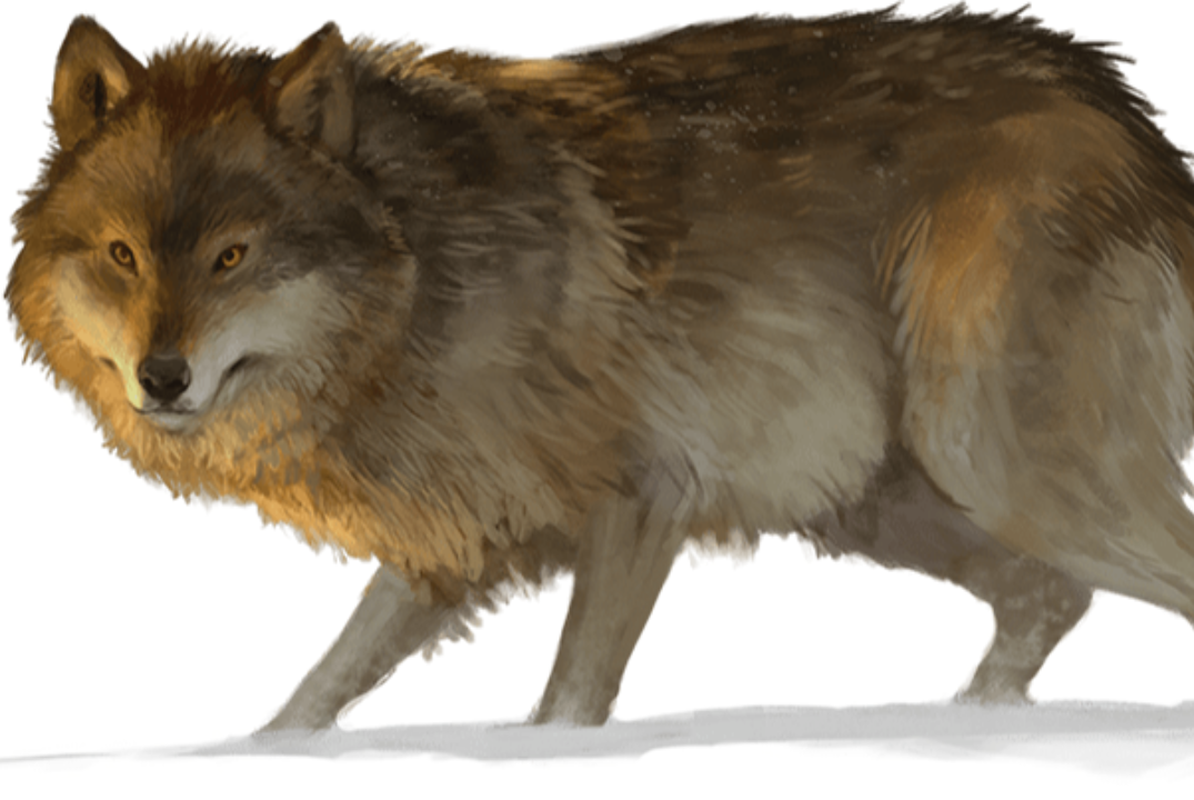 Мероприятие от Клуба настольных игр Политеха, Гильдии