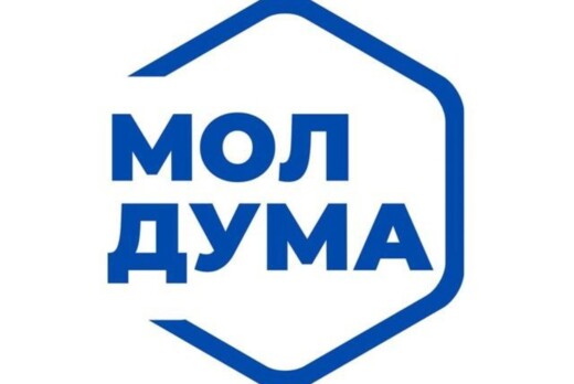 Рабочее совещание Молодёжной Думы города Ульяновска