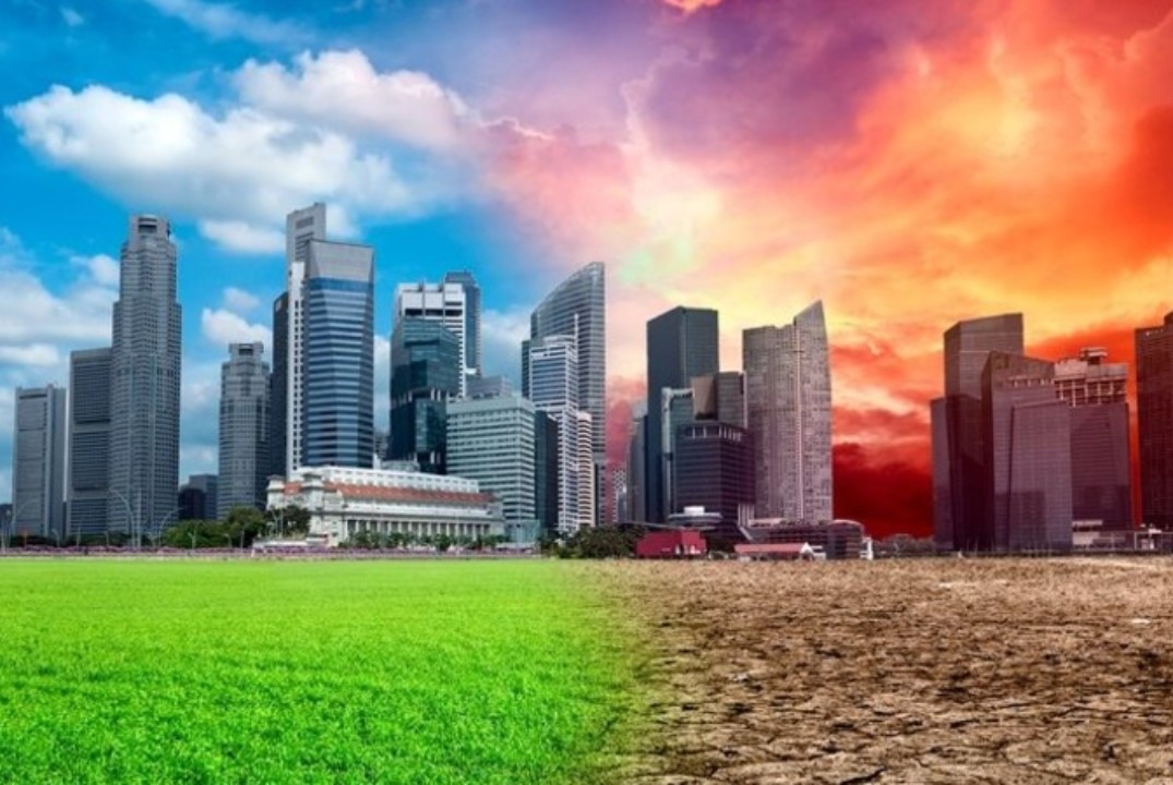 Планета без отходов: миф или реальность?