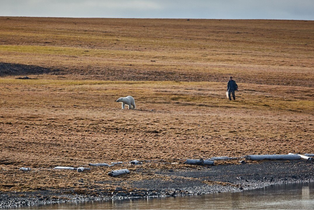 Кинопутешествия на край света: к китам Берингии и в "Царство большой четверки"