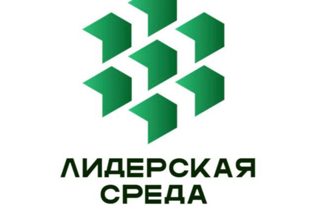 Питч сессия. Лидерская среда.
