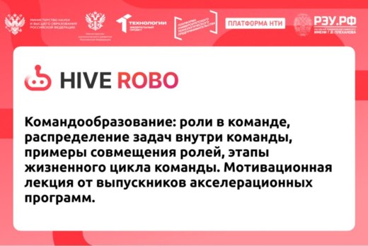 Командообразование: роли в команде, распределение задач в...