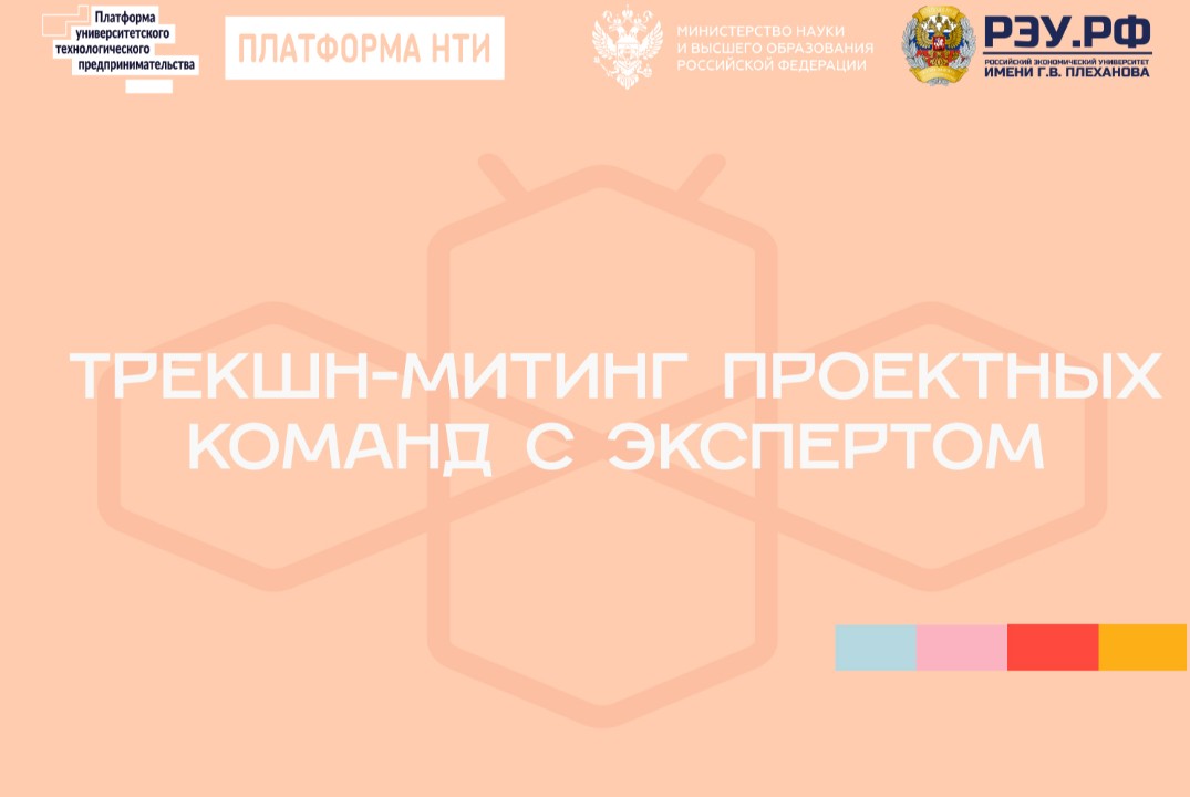 Трекшн-митинг проектных команд с экспертом