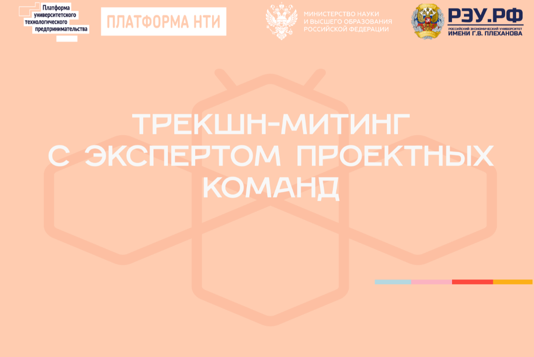 Трекшн-митинг проектных команд с экспертом