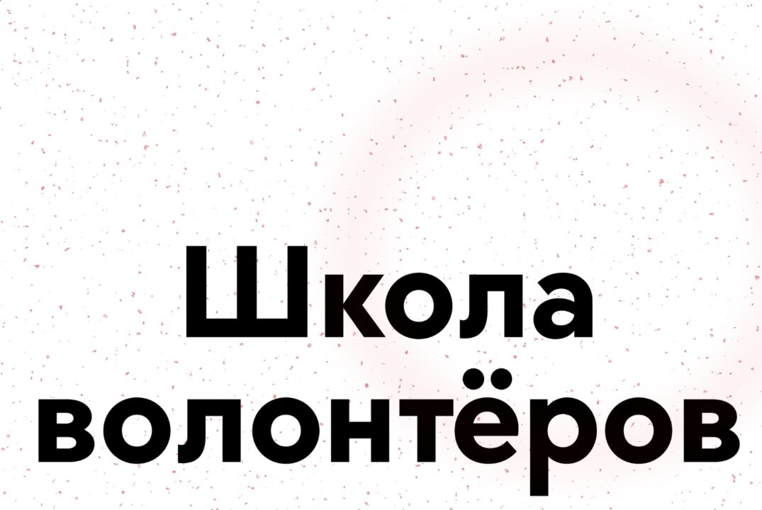 Школа подготовки волонтёров международных школ