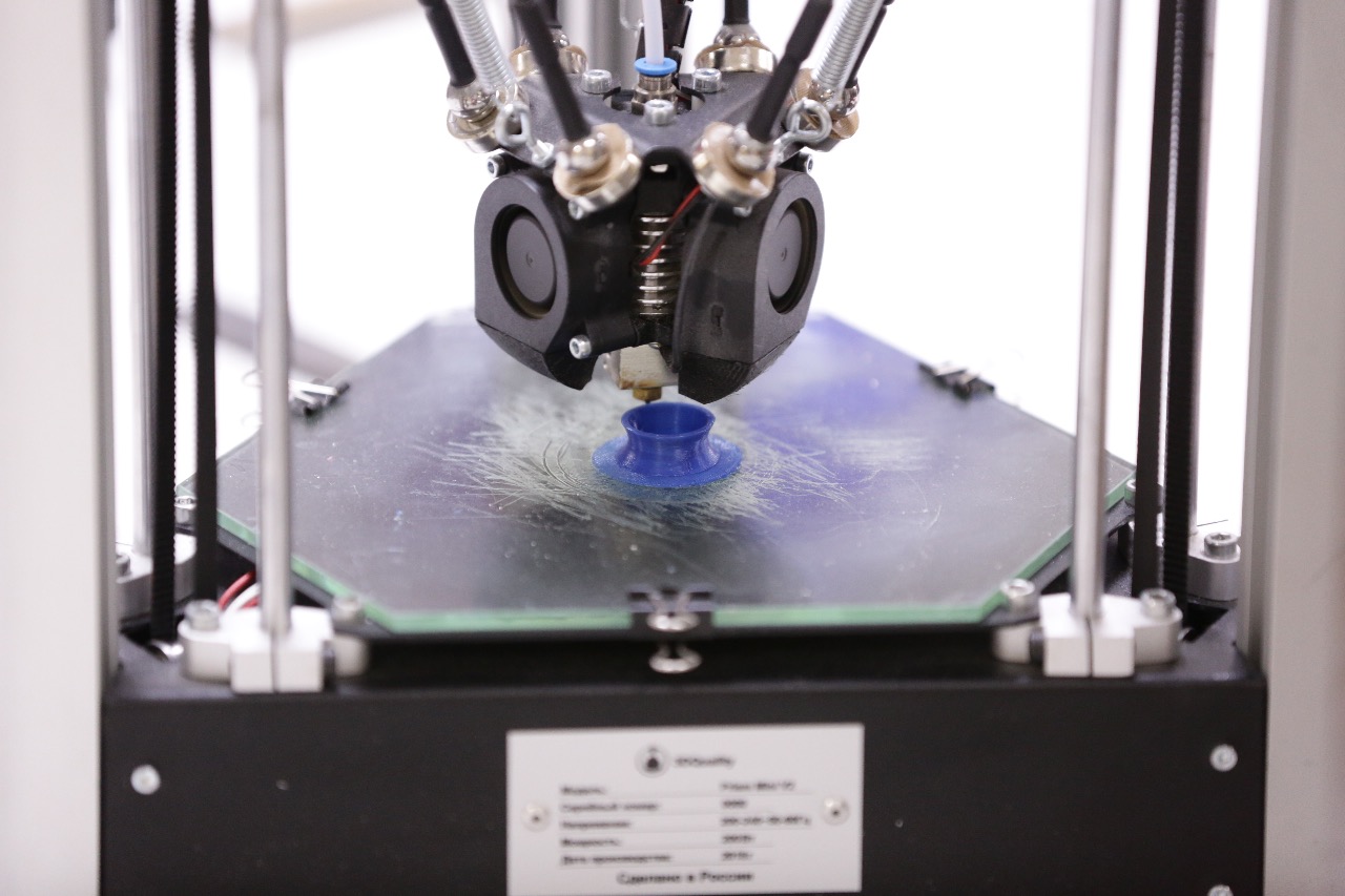 Проектная и научно-исследовательская деятельность школьни...